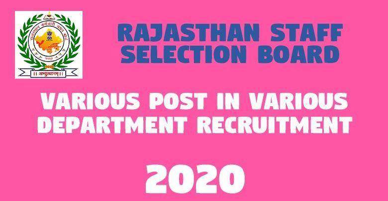 RSMSSB Handloom / Salt Inspector Result 1 Various Post in Various Department Recruitment -